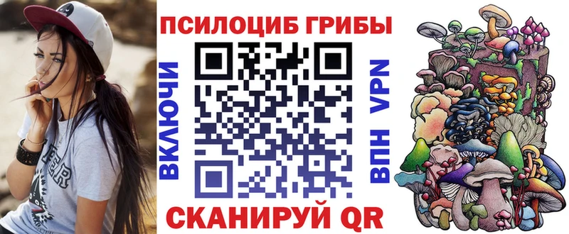 Галлюциногенные грибы мухоморы купить наркотики цена Старица
